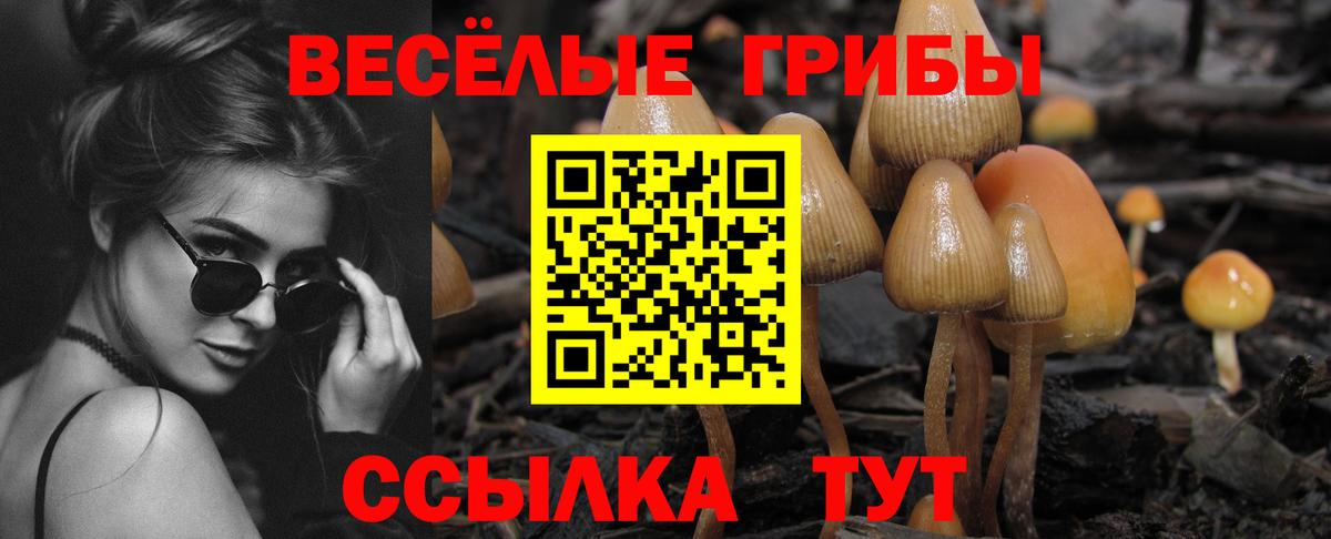 Галлюциногенные грибы Cubensis  Вход с VPN  Истра 